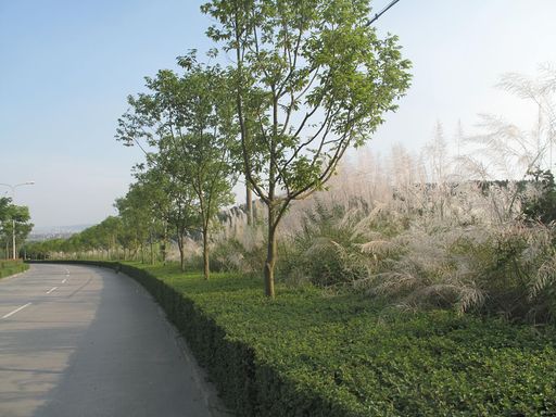 绵阳南郊机场