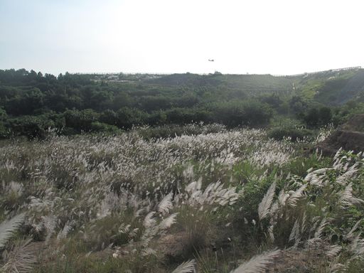 绵阳南郊机场