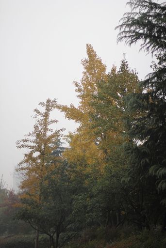 20101116125431100
