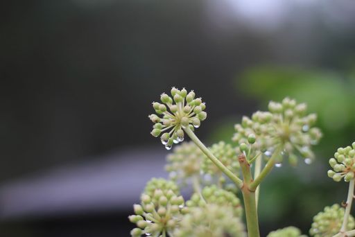 20101116125542100