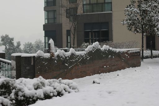 雪