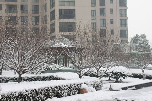 雪