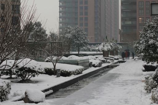 雪