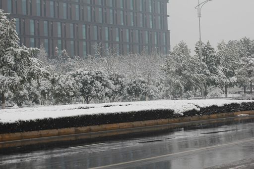 雪