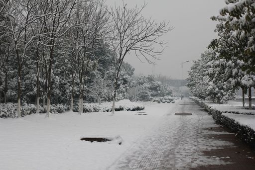 雪