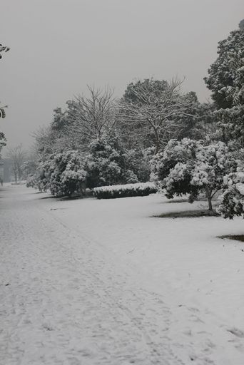 雪