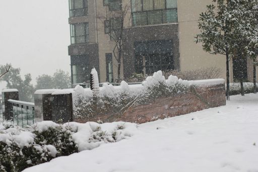 雪