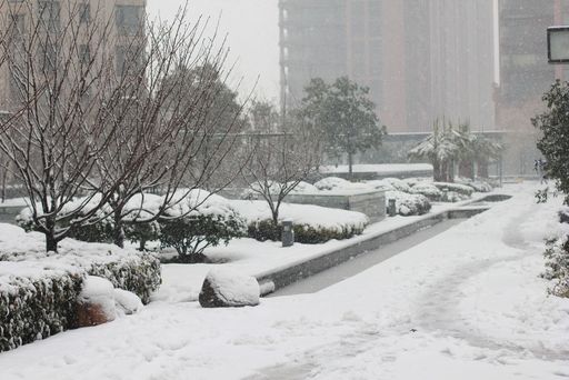 雪