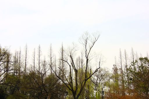 20110326140102100