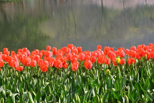 20110326140107100
