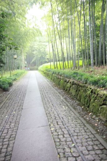 云栖竹径