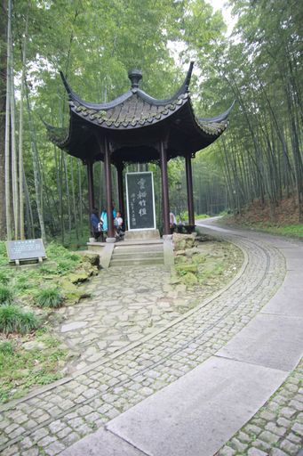 云栖竹径