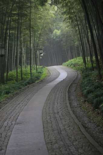 云栖竹径