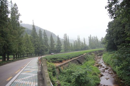 梅灵南路